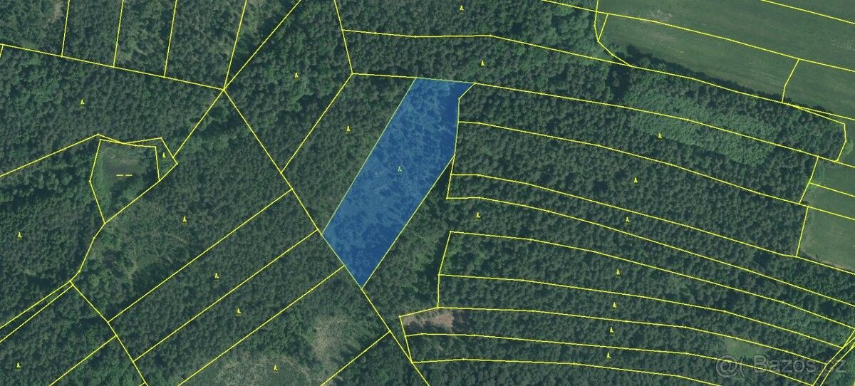 Lesy, Borovany, 373 12, 13 252 m²