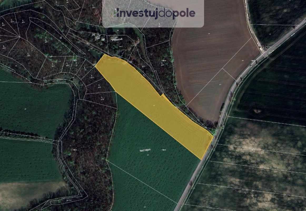 Prodej zemědělský pozemek - Kozinec, Holubice, 10 992 m²