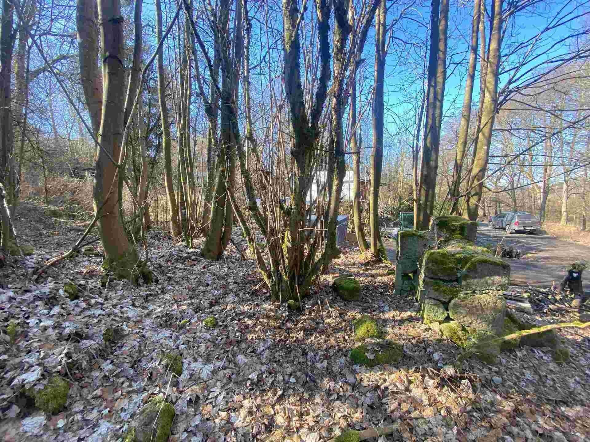 Ostatní, Svatá Kateřina, Rozvadov, 584 m²