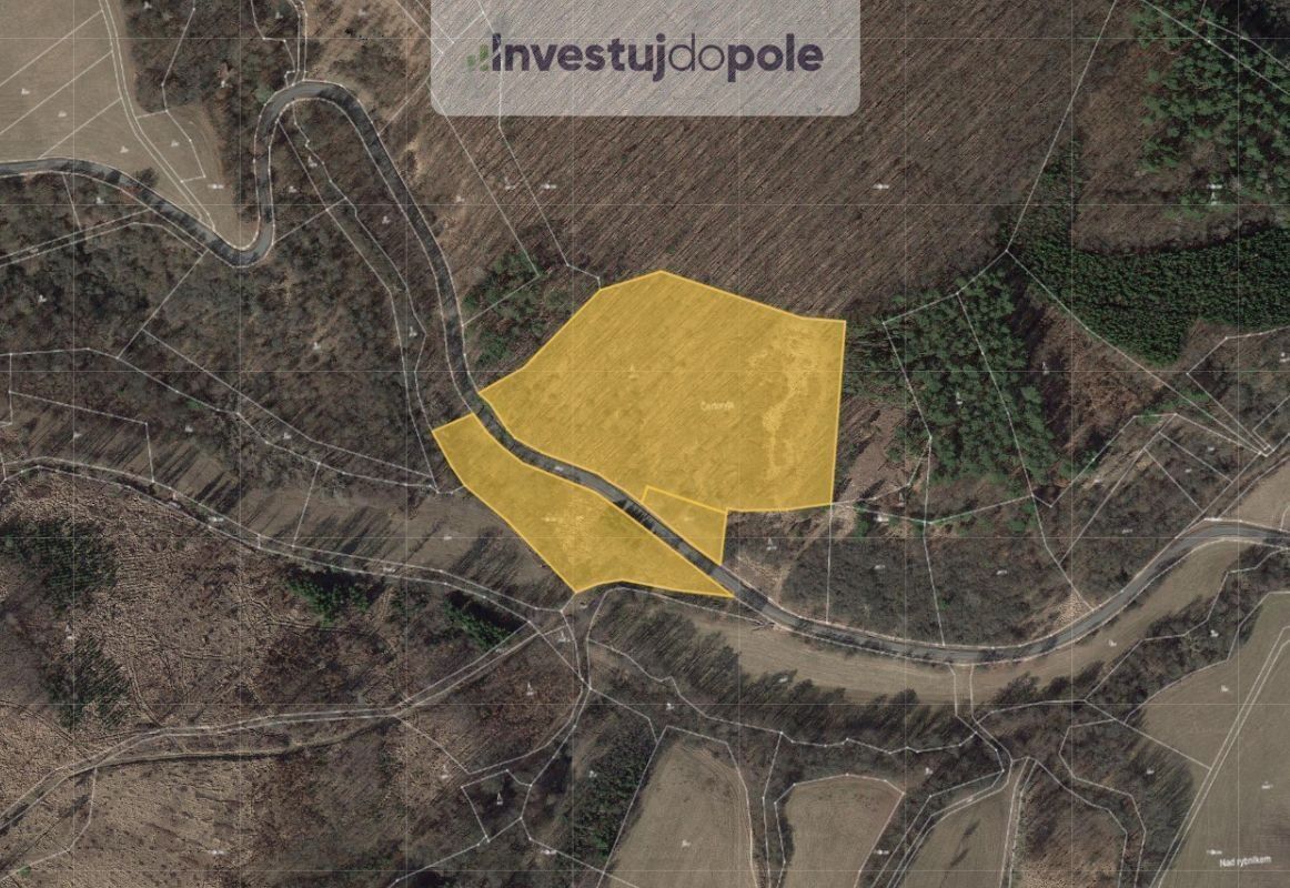 Lesy, Přečkovice, Bojkovice, 29 768 m²