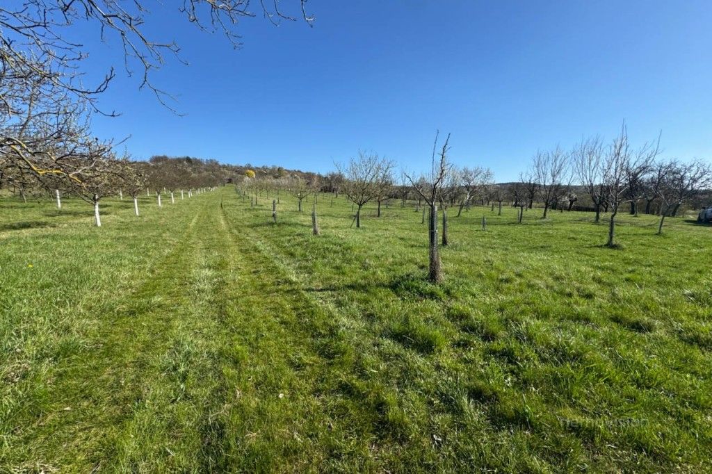 Zemědělské pozemky, Strážnice, 2 139 m²