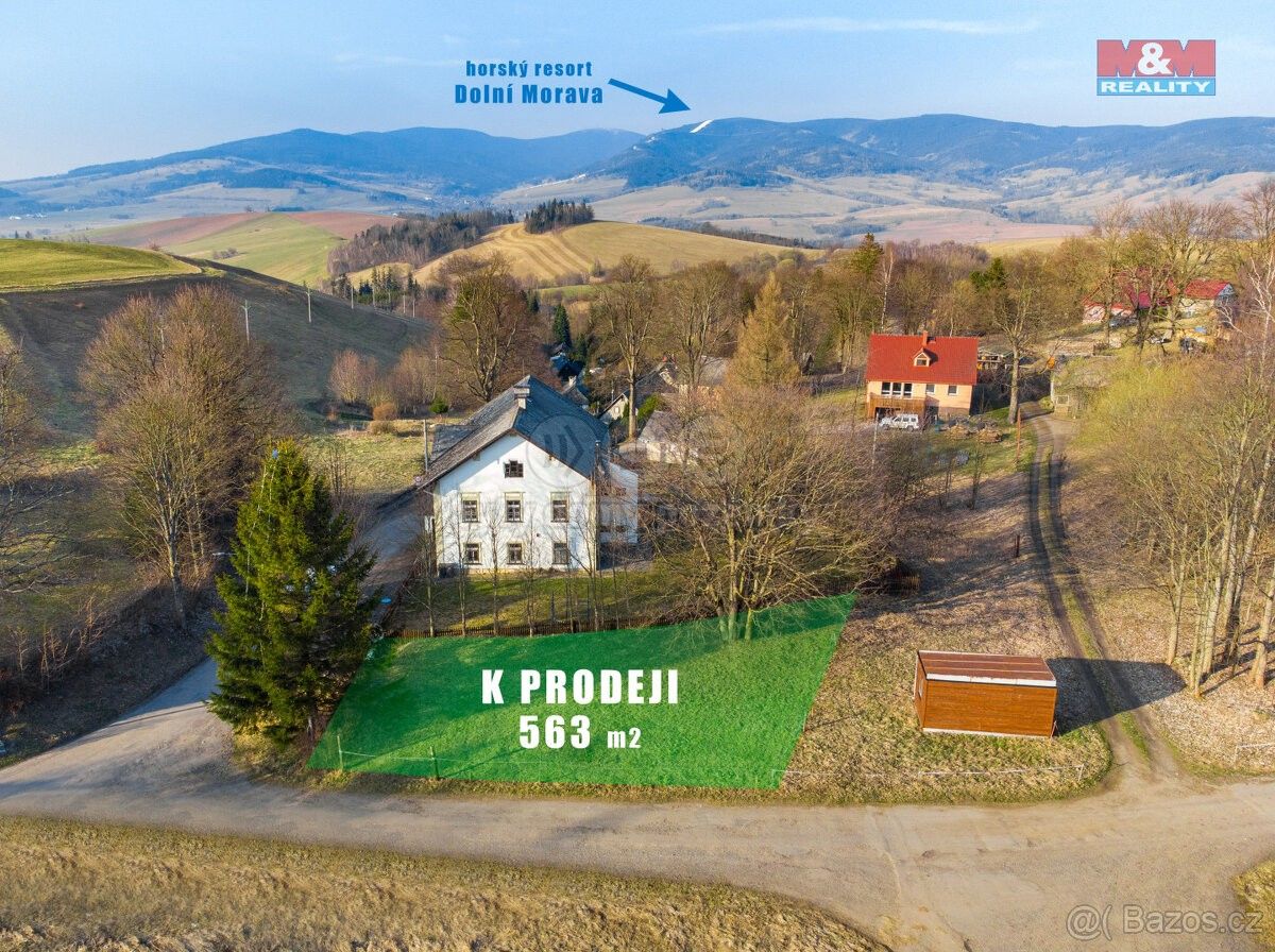 Ostatní, Králíky, 561 69, 563 m²
