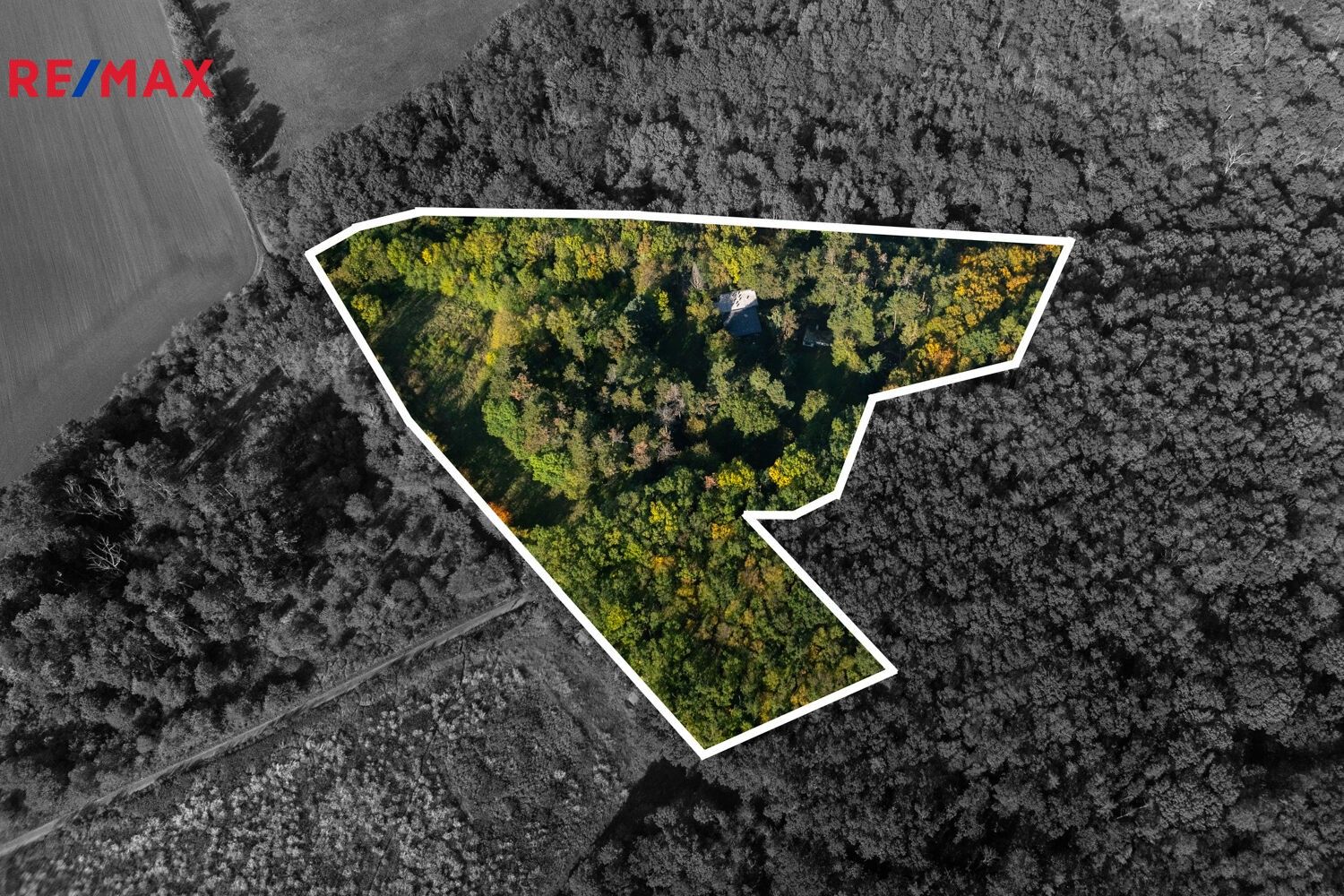 Lesy, Praha, 17 570 m²