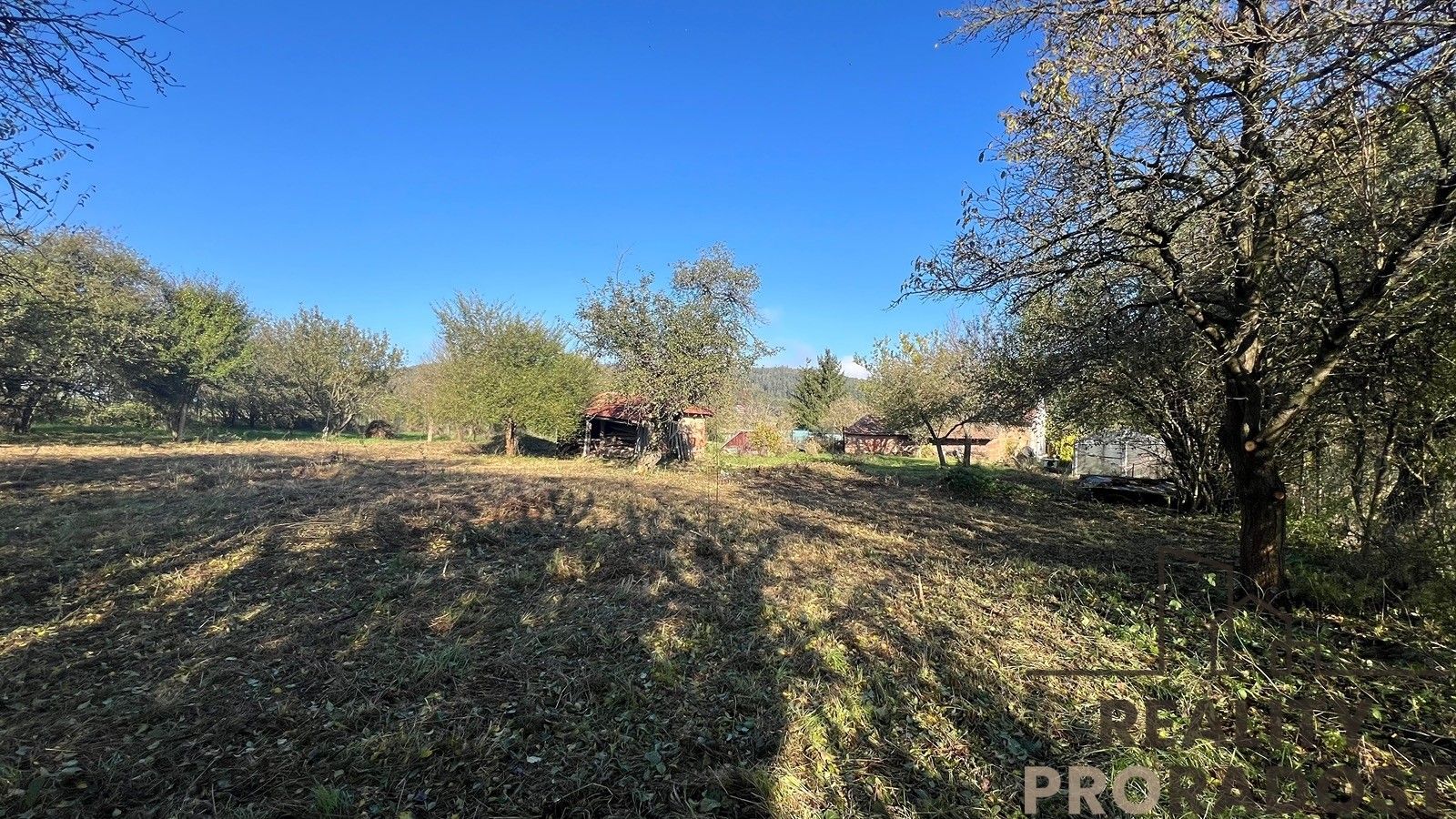 Prodej pozemek pro bydlení - Svinošice, 3 004 m²