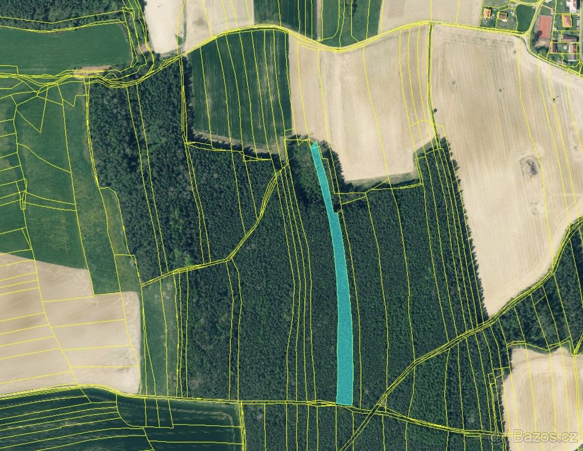 Lesy, Třemošná, 330 11, 8 325 m²