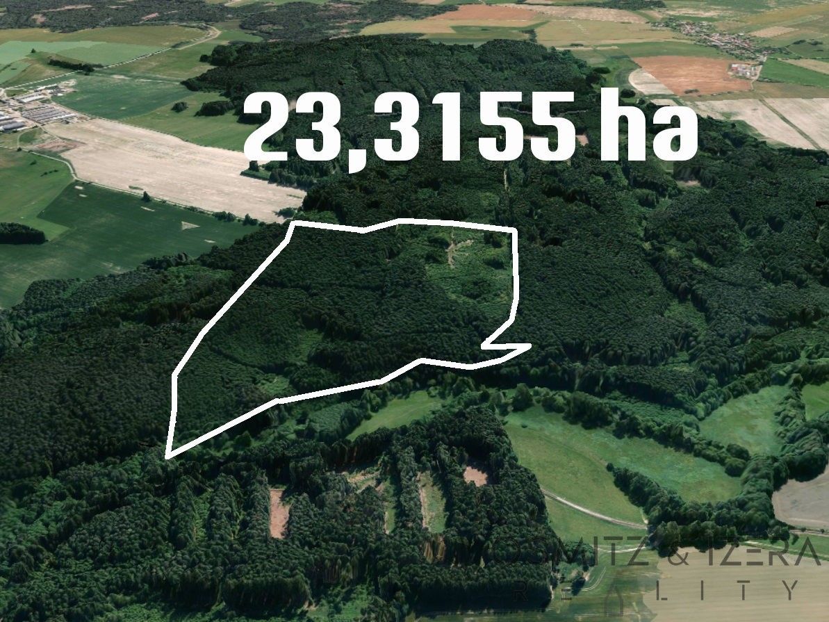 Prodej les - Žďár, 233 155 m²