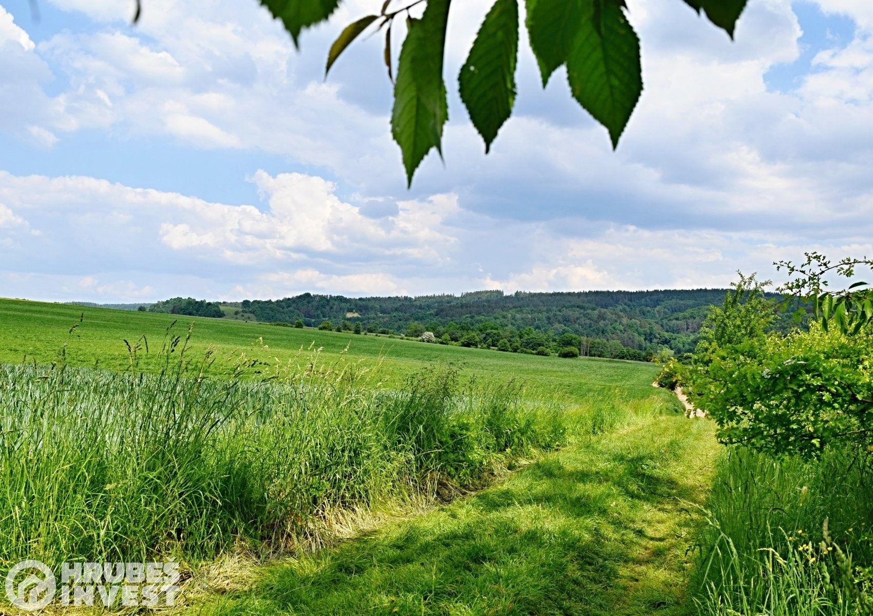 Pozemky pro bydlení, Dlouhá Loučka, 1 515 m²