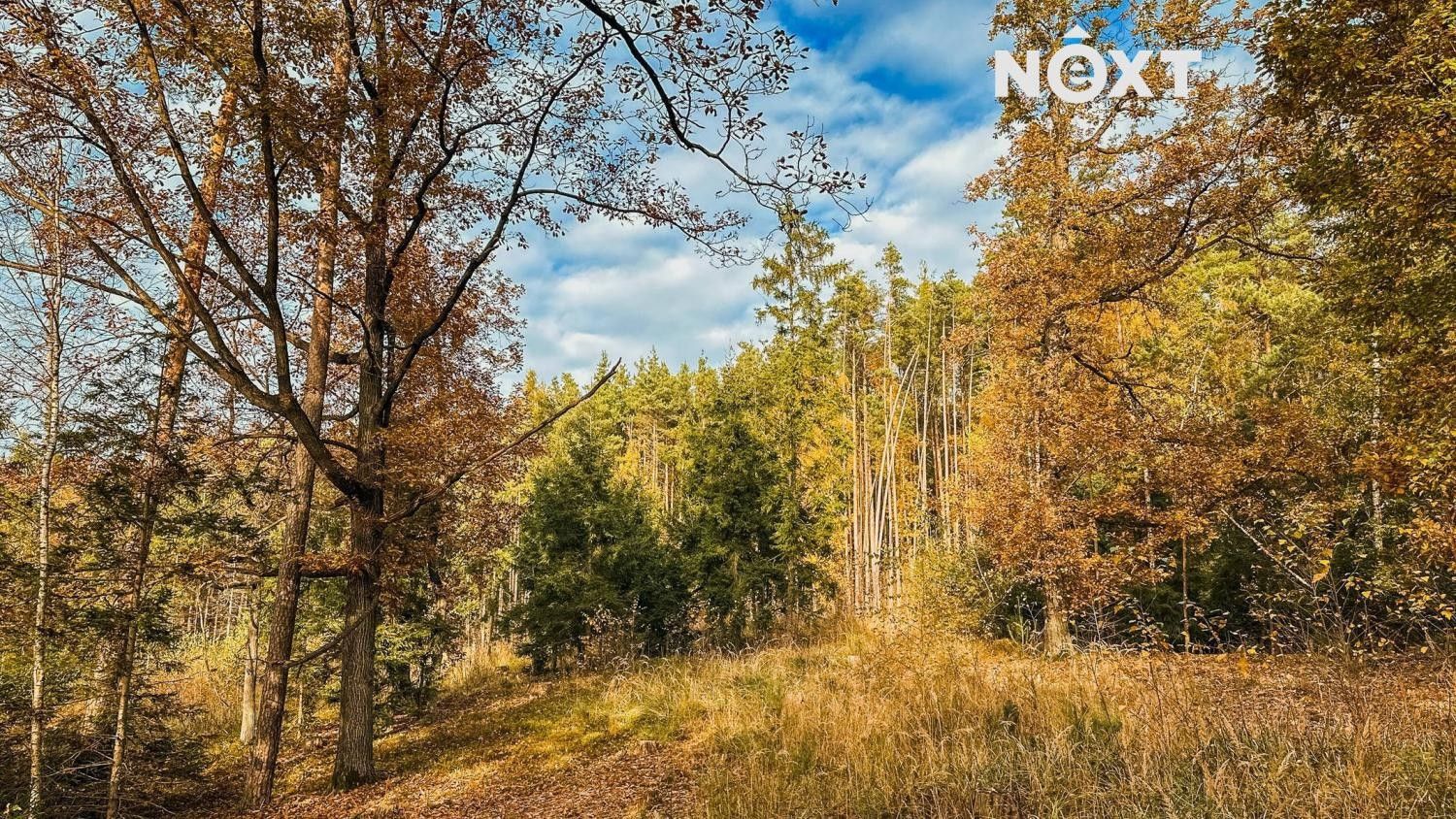 Prodej les - Ostřetín,Ostřetín,Pardubice,Pardubický kraj, 10 398 m²