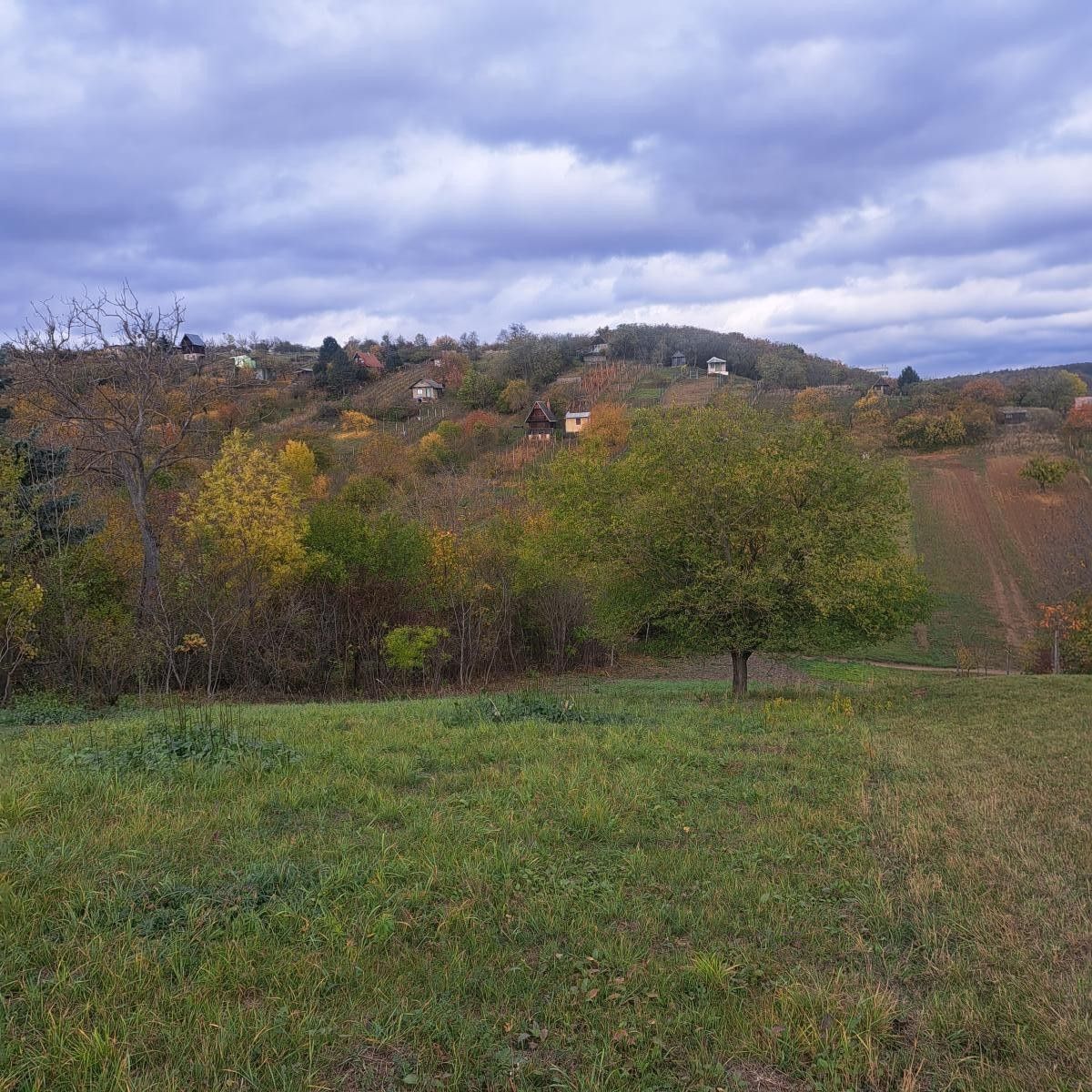Prodej zahrada - Sivice, 1 458 m²