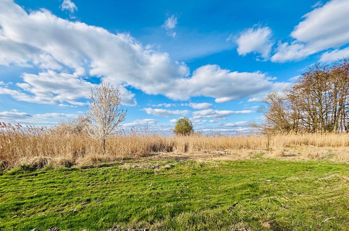 Prodej pozemek - Lužec nad Cidlinou, 503 62