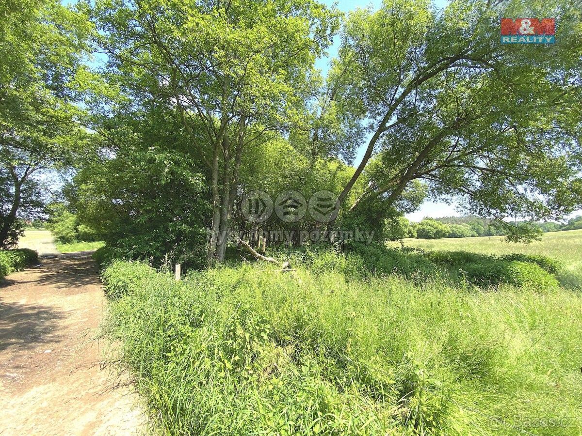 Prodej louka - Týnec nad Sázavou, 257 41, 1 264 m²