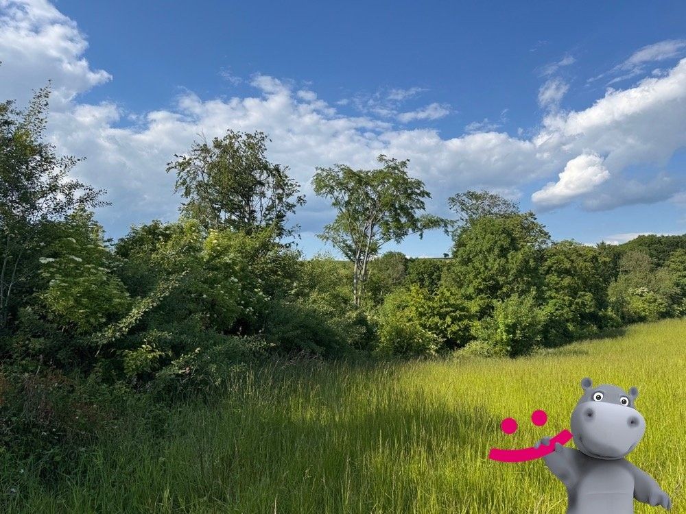 Louky, Halenkovice, 763 63, 9 984 m²