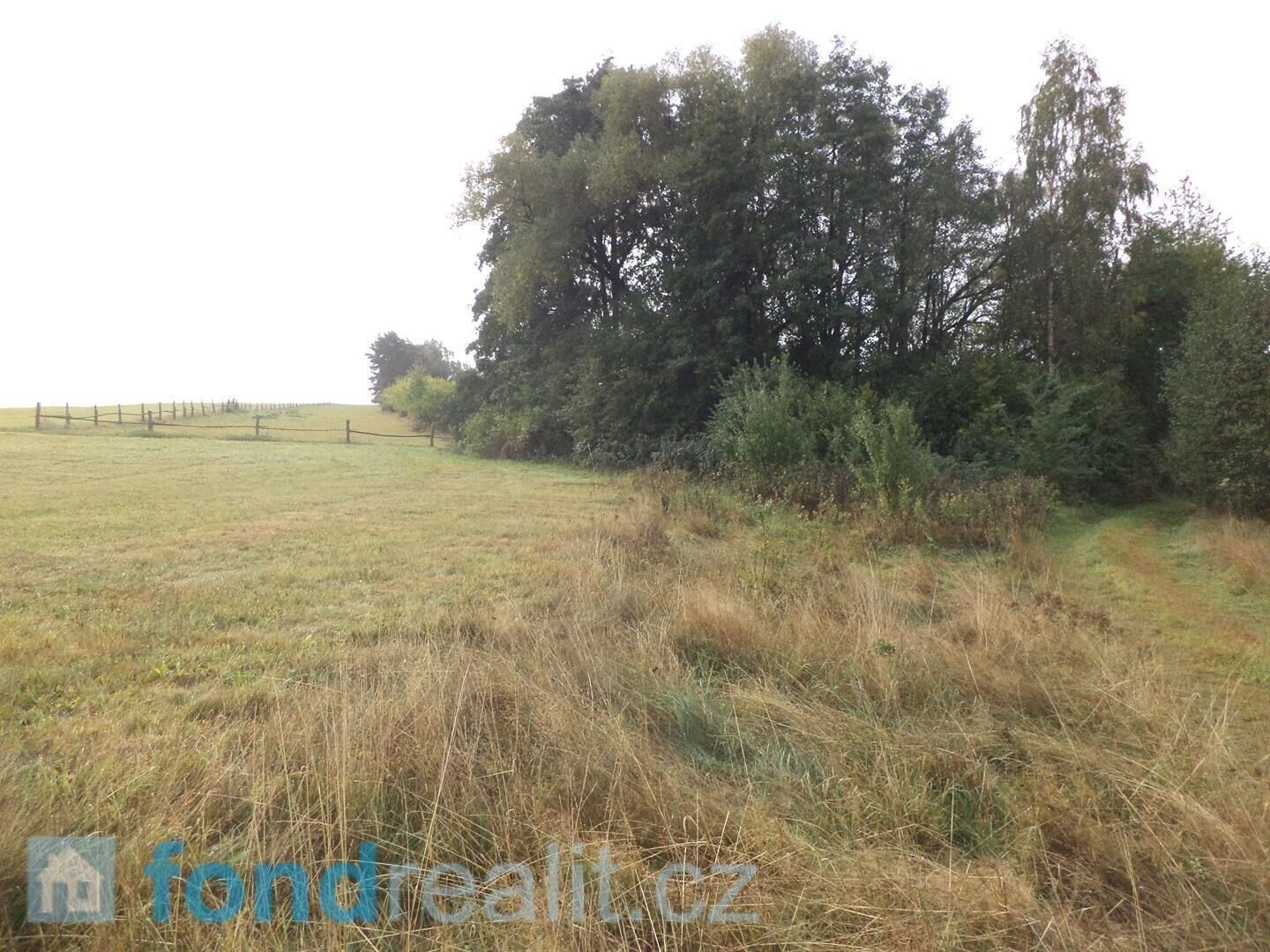 Ostatní, Malíkov nad Nežárkou, Horní Pěna, 1 083 m²