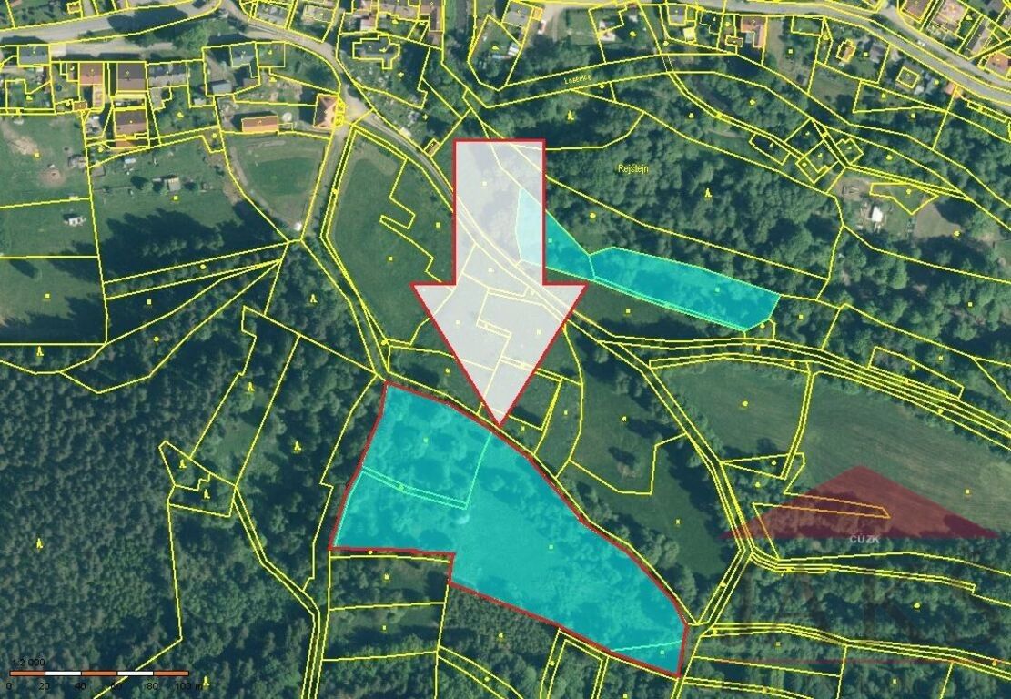 Prodej louka - Rejštejn, 13 819 m²