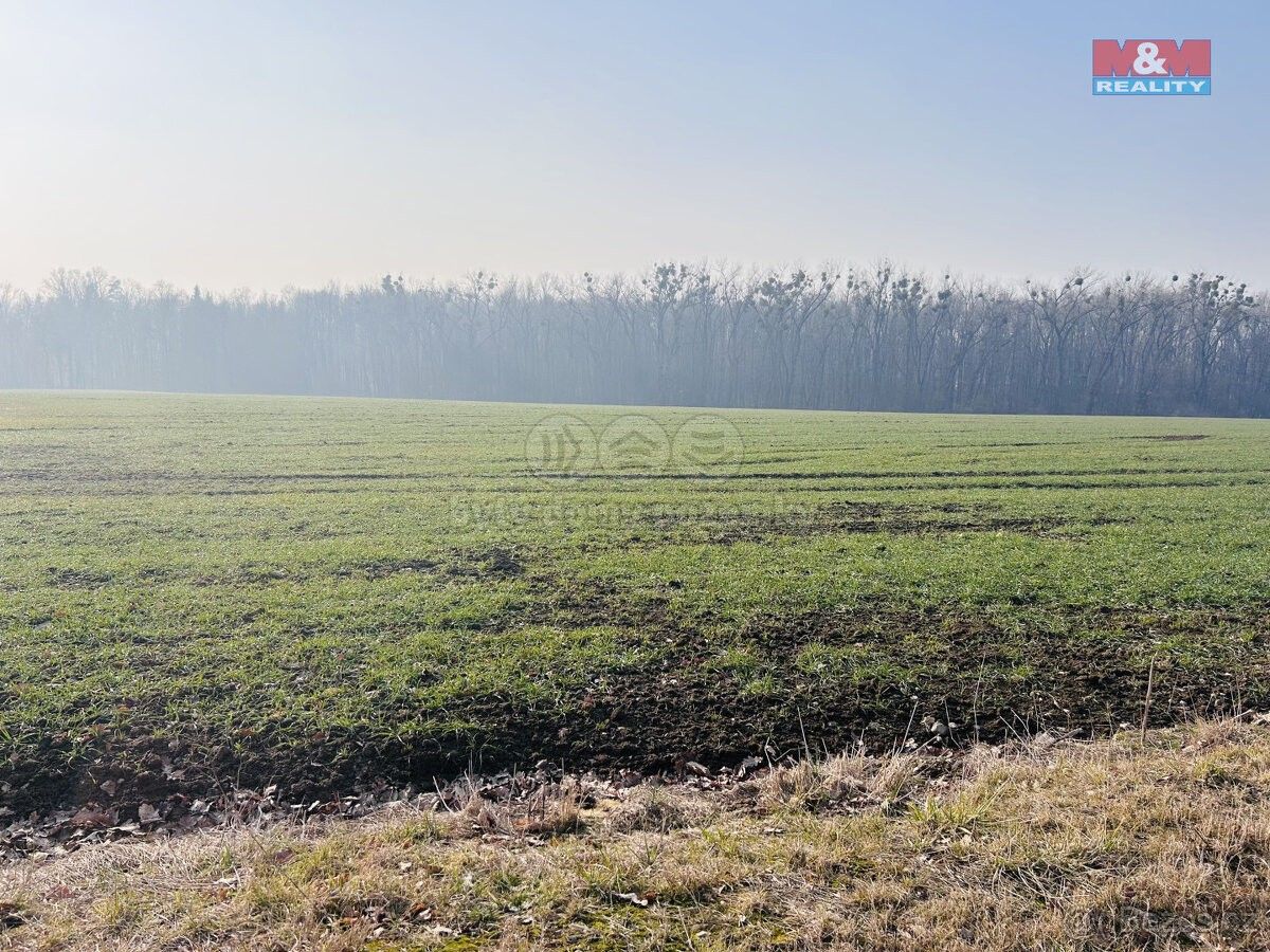Zemědělské pozemky, Frýdek-Místek, 738 01, 3 509 m²