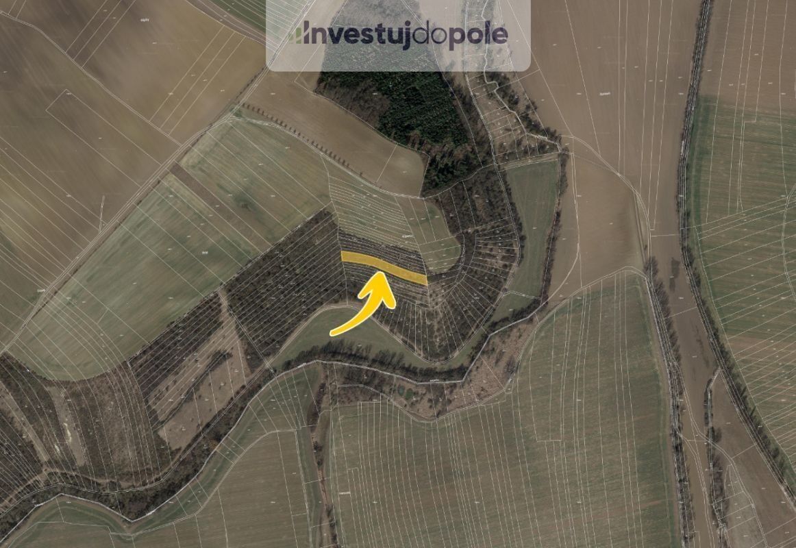 Prodej louka - Cetechovice, 2 864 m²
