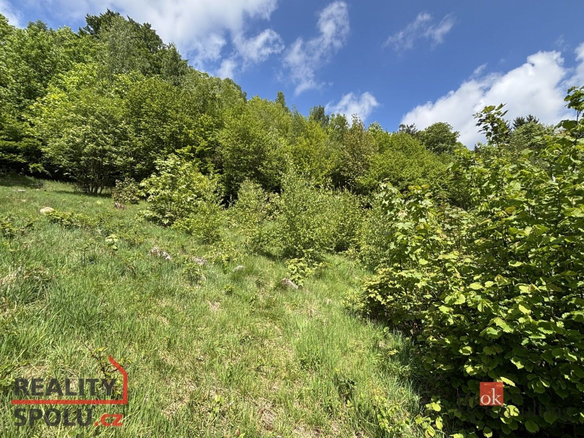 Pozemky pro bydlení, Hraničná, Janov nad Nisou, 1 161 m²