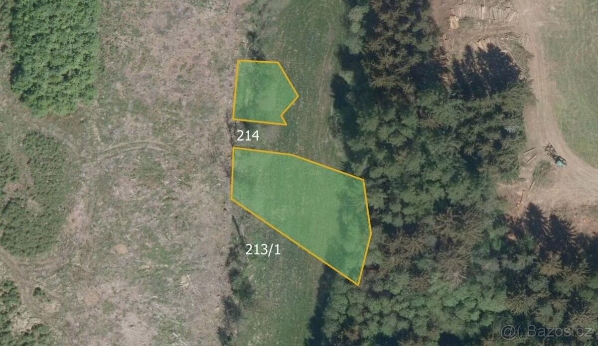 Prodej zemědělský pozemek - Ledeč nad Sázavou, 584 01, 36 594 m²