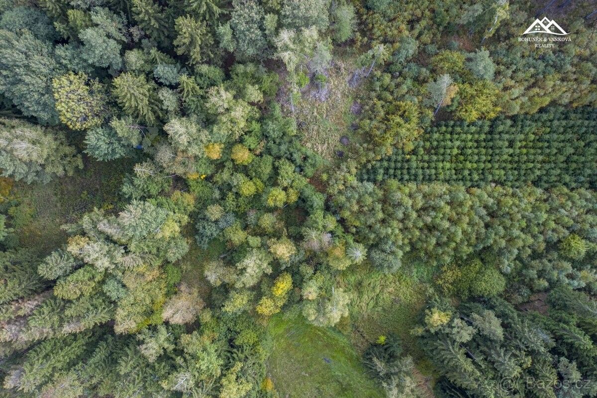 Lesy, Hlinsko v Čechách, 539 01, 2 232 m²