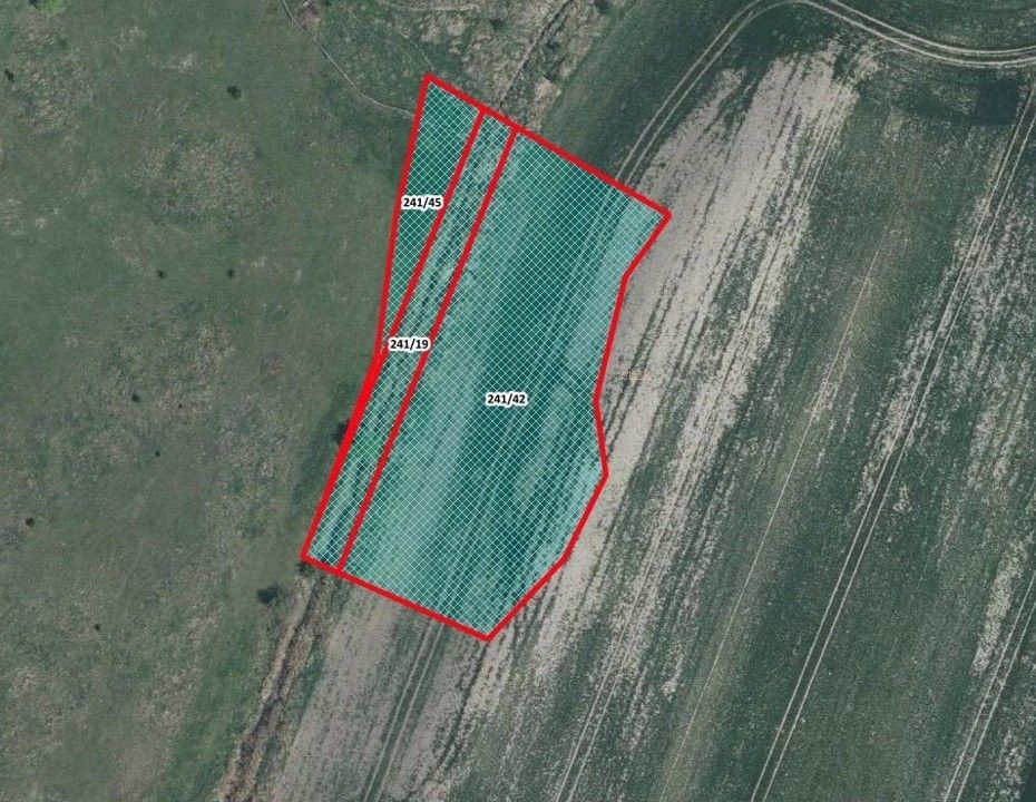 Zemědělské pozemky, Nouzov, Chotěšice, 4 543 m²
