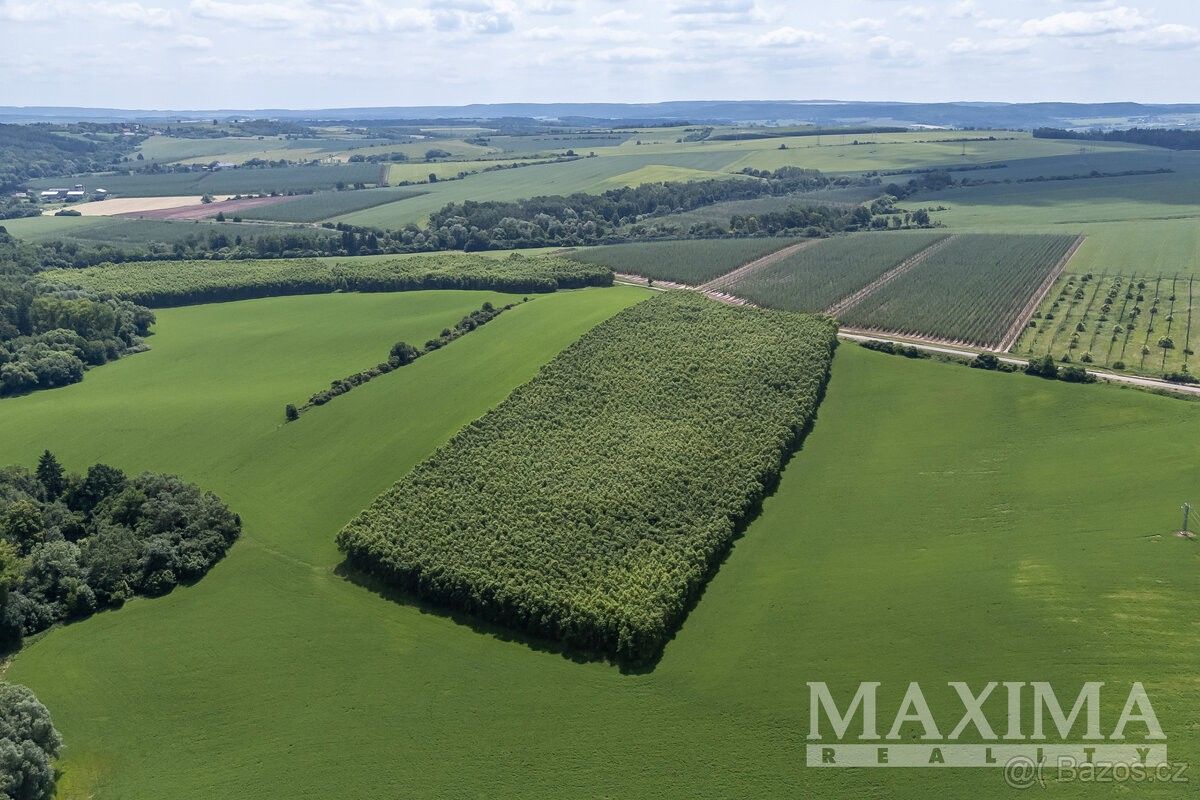 Zemědělské pozemky, Louny, 440 01, 38 383 m²