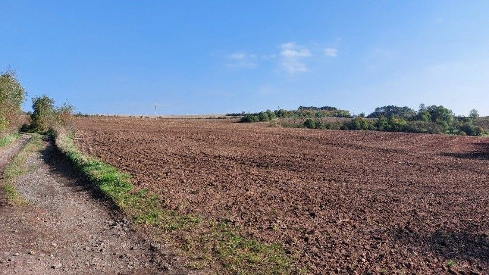 Zemědělské pozemky, Třebíz, 273 75, 50 474 m²