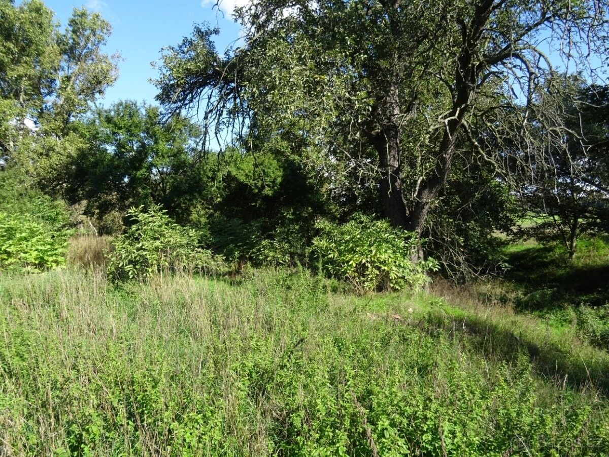 Ostatní, Žatec, 438 01, 1 239 m²
