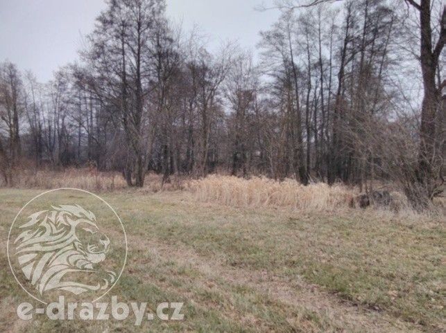 Louky, Klatovy, 1 313 m²
