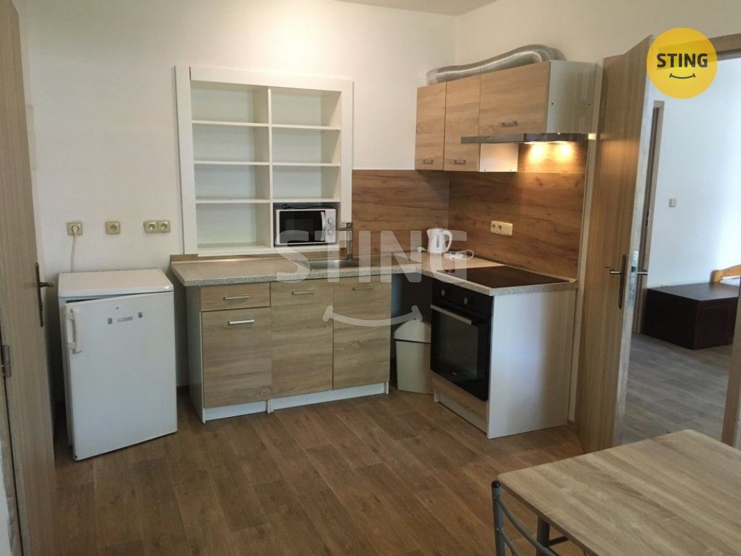 Pronájem byt 1+1 - Brodek u Prostějova, 798 07, 38 m²