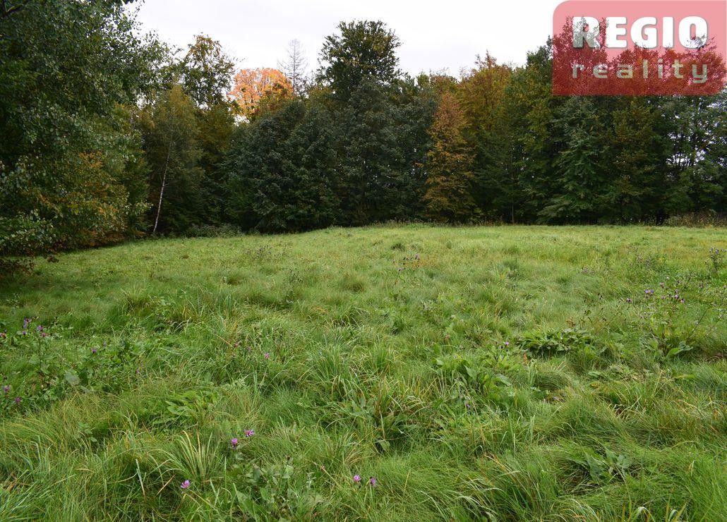 Pozemky pro bydlení, Vendryně, 739 94, 3 332 m²
