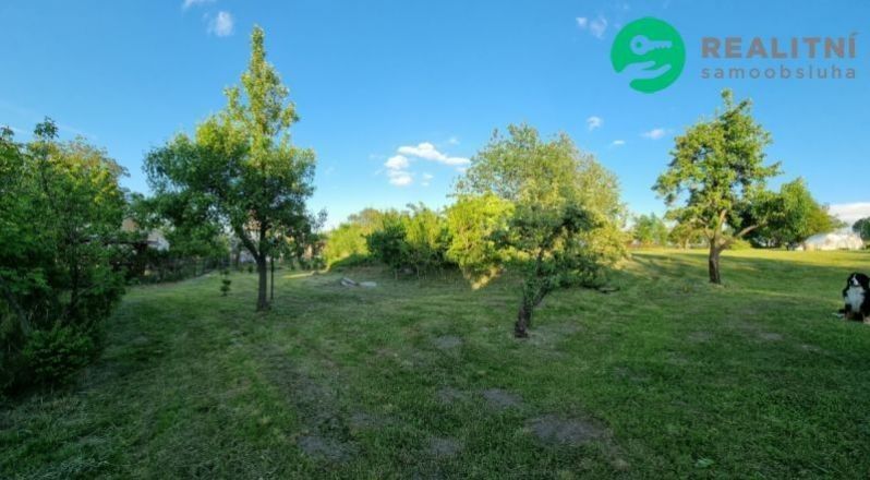 Pozemky pro bydlení, Bílý Potok, Javorník, 1 177 m²