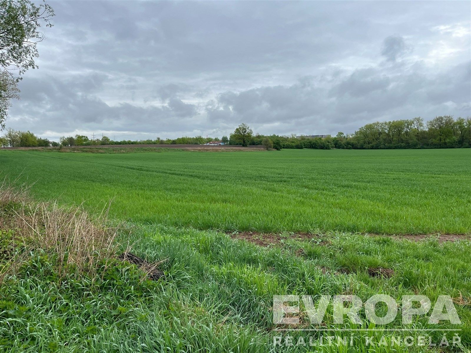 Zemědělské pozemky, Rybitví, 66 333 m²