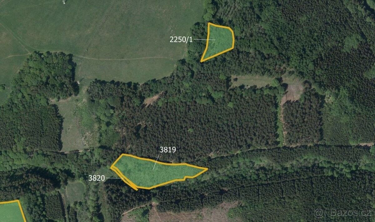 Prodej zemědělský pozemek - Trutnov, 541 01, 66 598 m²