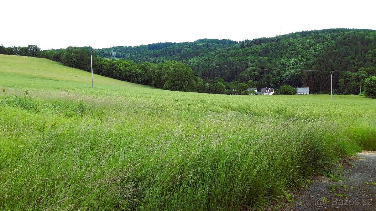 Pozemky pro bydlení, Oskava, 788 01, 1 250 m²