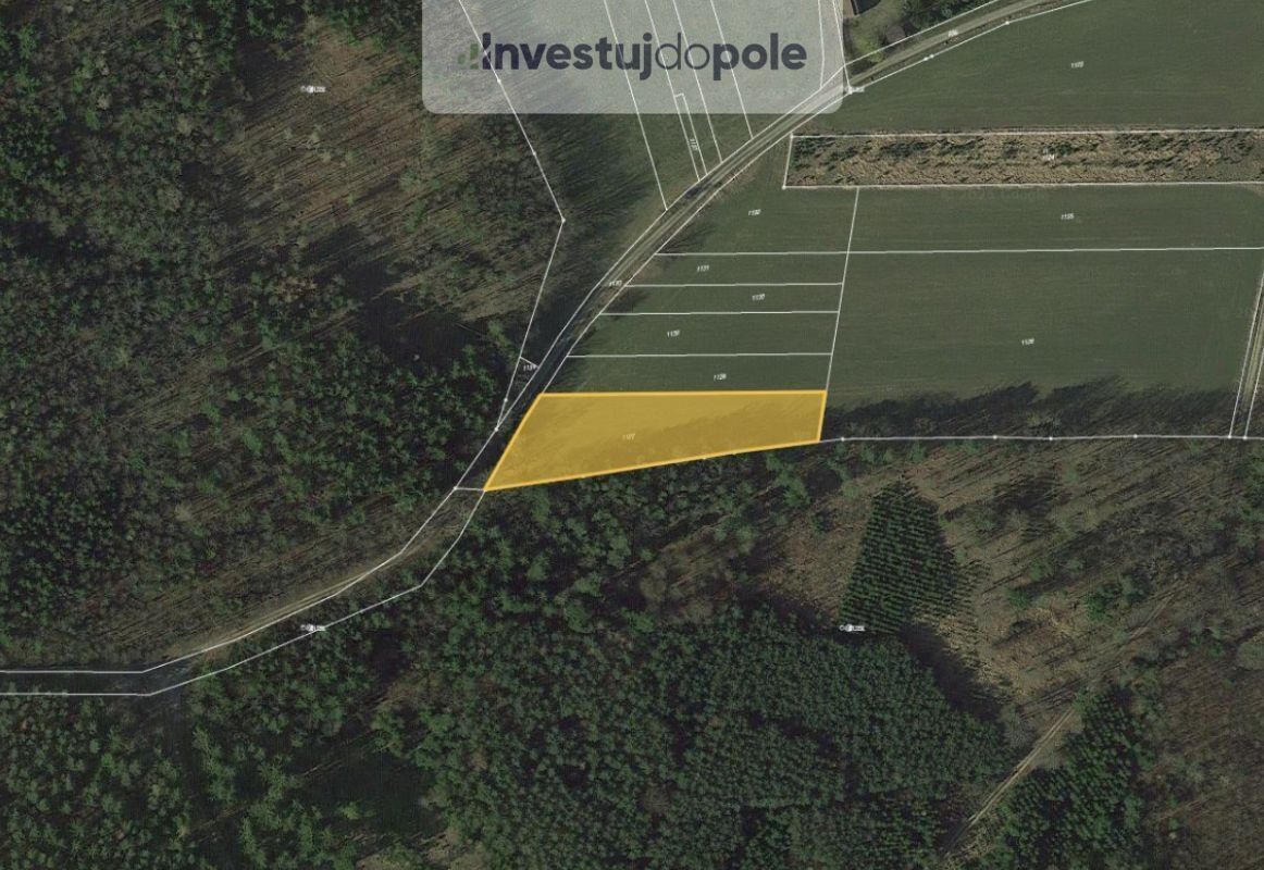Zemědělské pozemky, Jehnědno, Albrechtice nad Vltavou, 2 926 m²