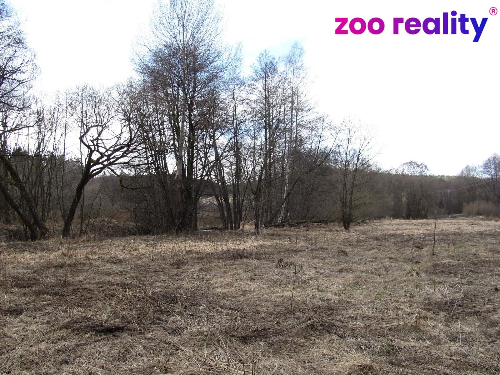 Prodej louka - Kladenské Rovné, Kájov, 7 754 m²