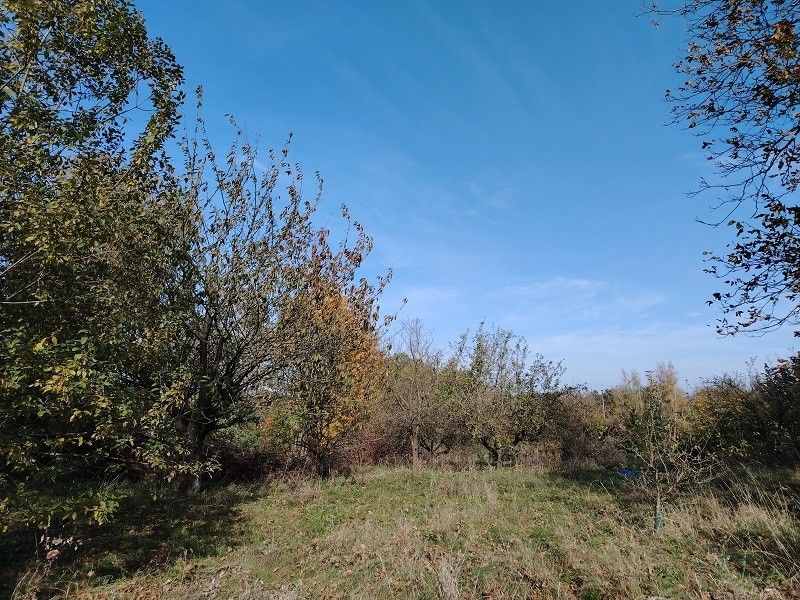 Prodej pozemek - Loukov u Mnichova Hradiště, 294 11, 907 m²