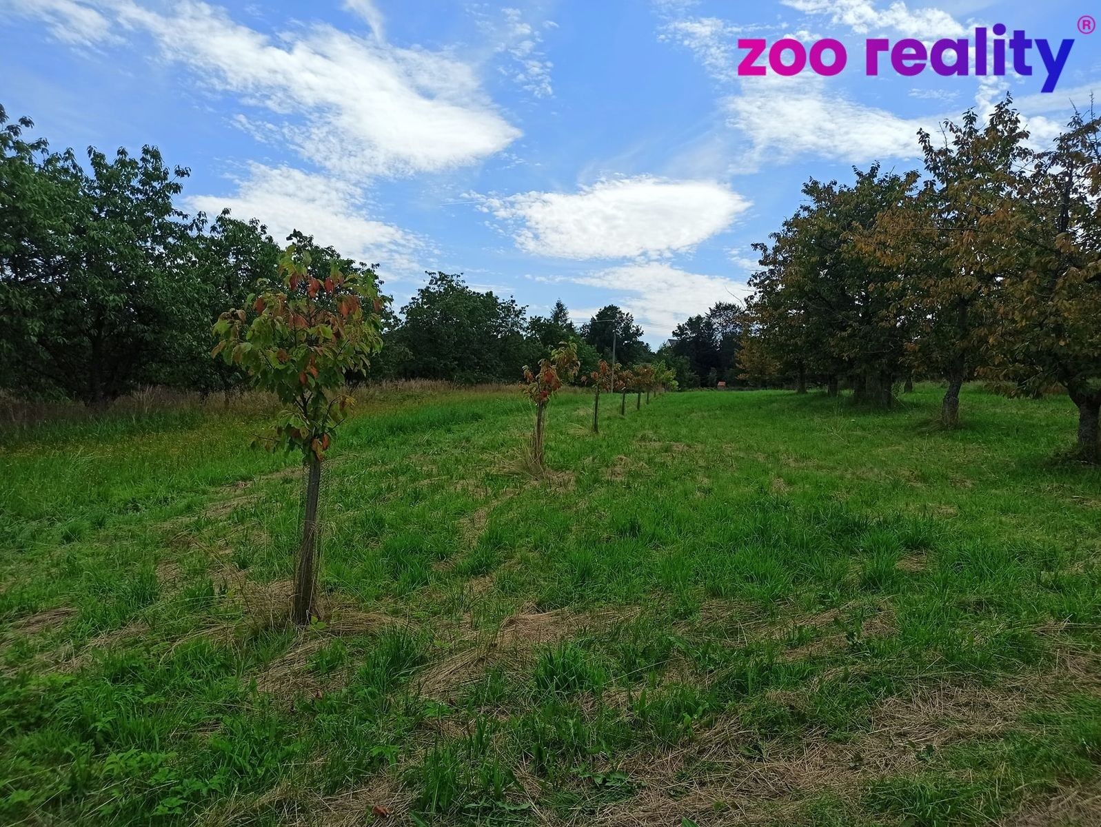 Pozemky pro bydlení, Lhenice, 2 668 m²