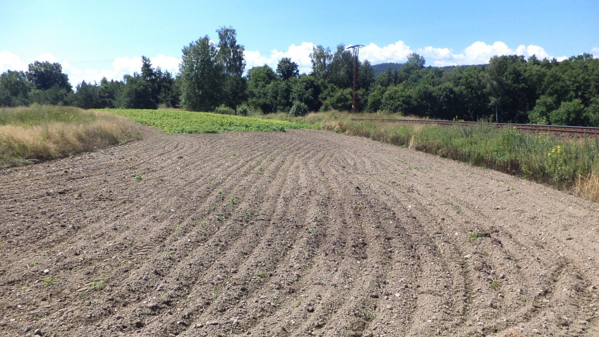 Ostatní, Stráž, 15 644 m²