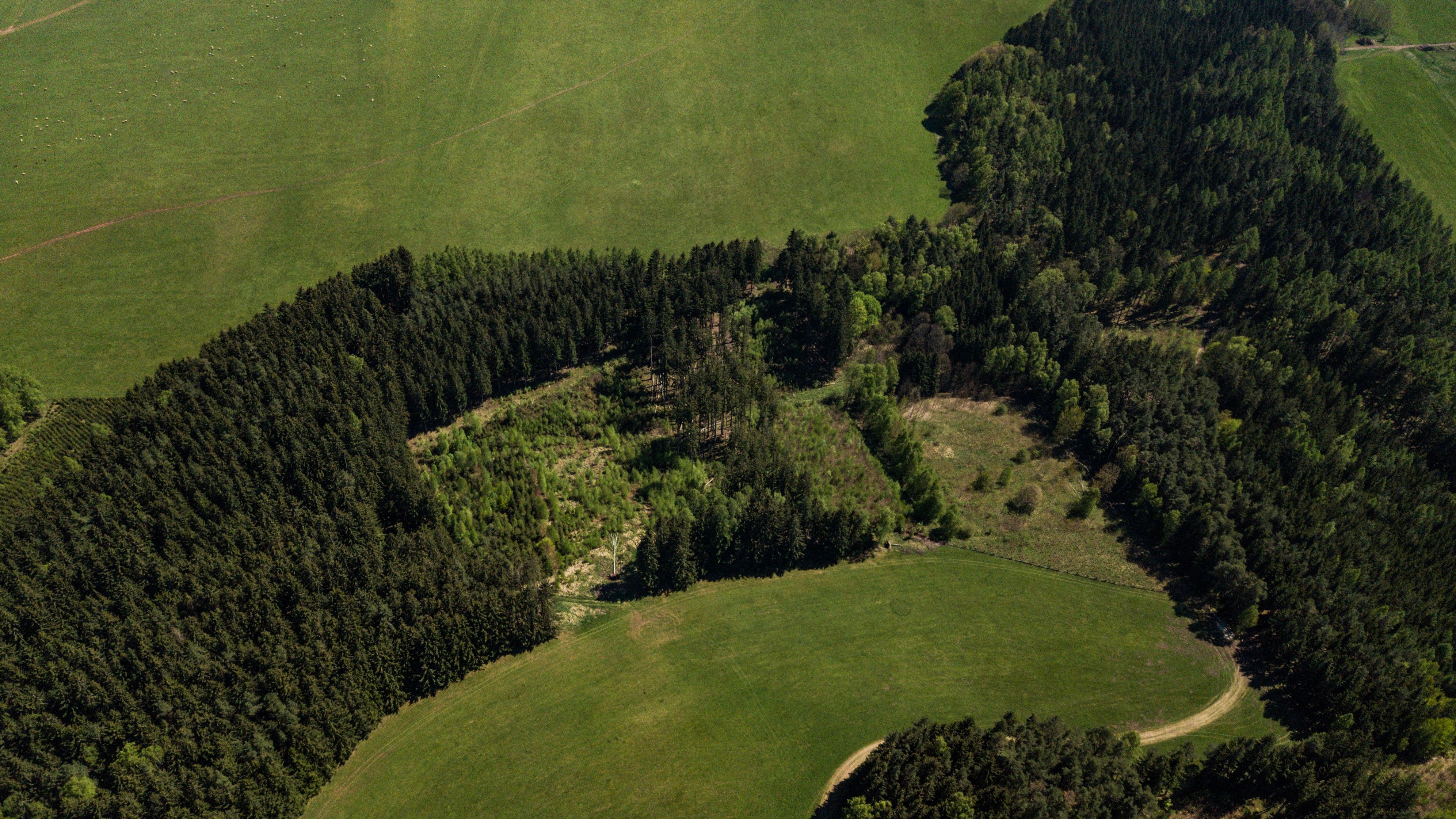 Prodej les - Heřmánkovice , 20 336 m²
