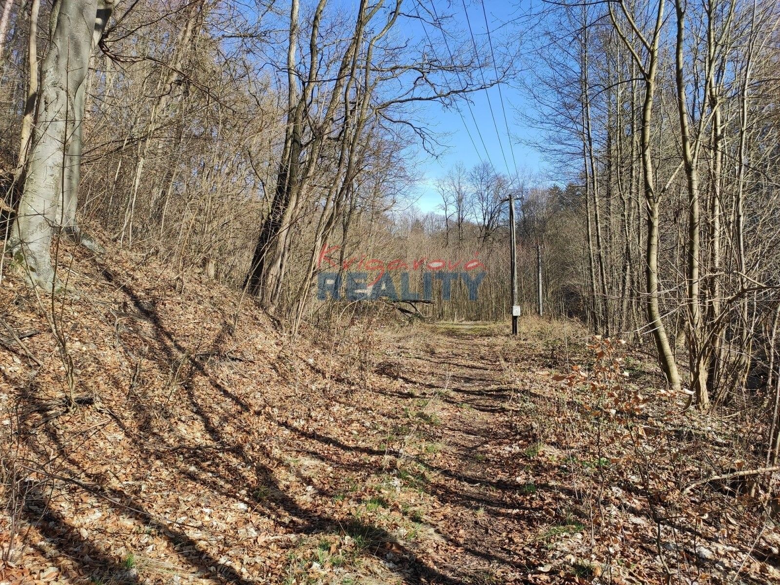 Prodej komerční pozemek - Údolí, Nové Hrady, 2 759 m²