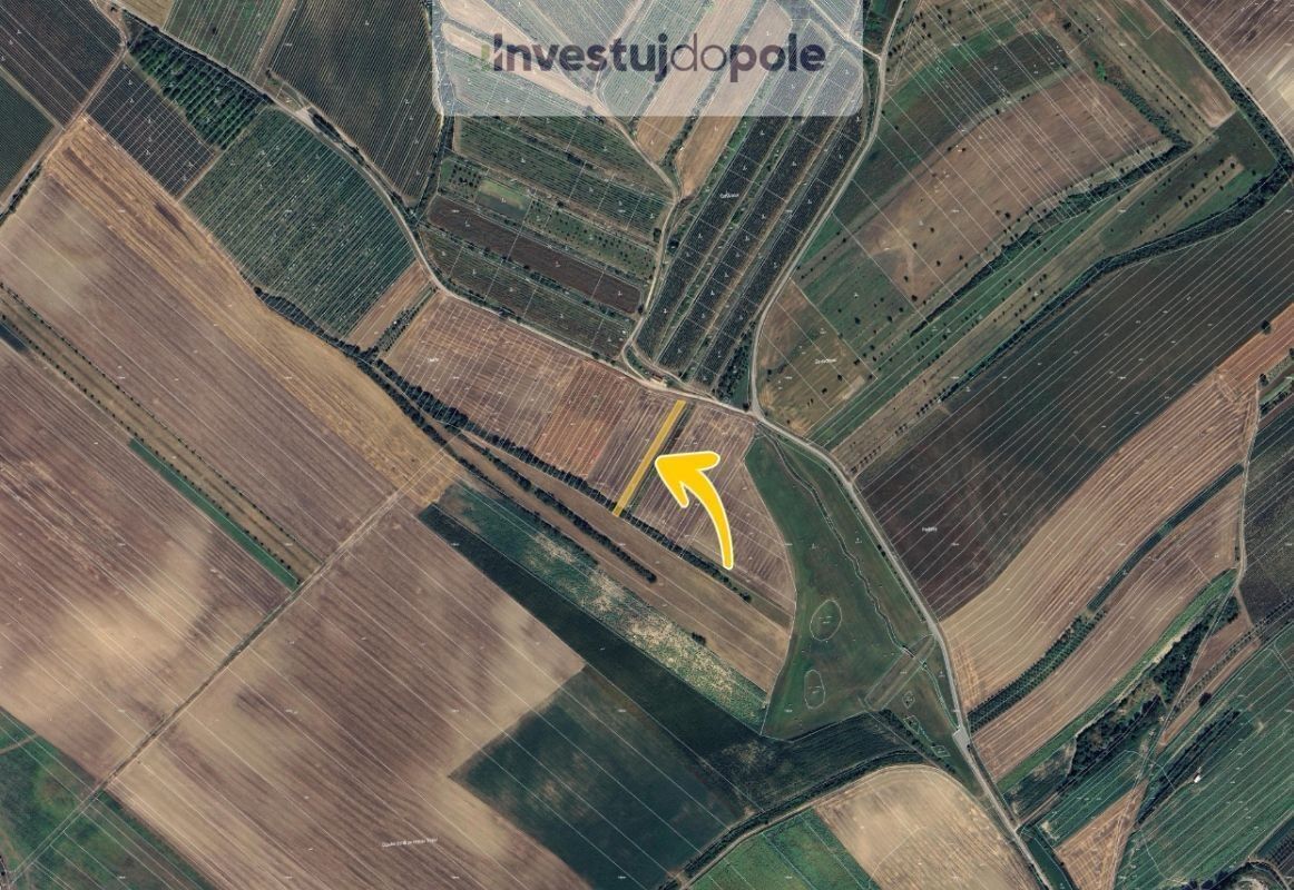Prodej zemědělský pozemek - Šardice, 1 199 m²