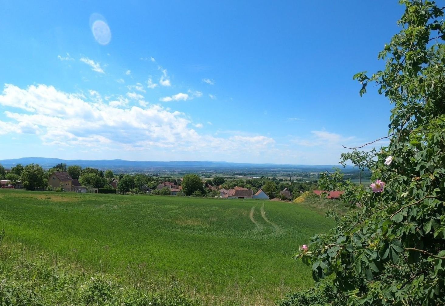 Prodej pozemek pro bydlení - Na werku, Adamov, 847 m²