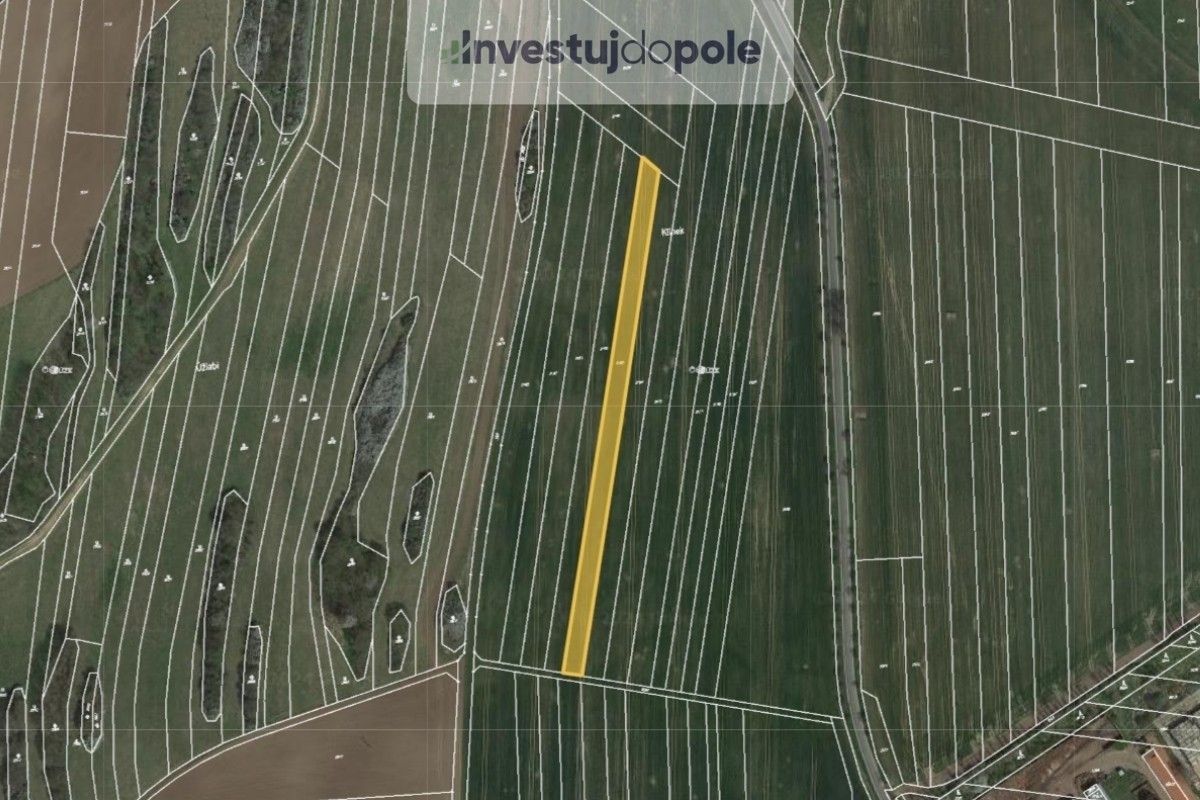 Zemědělské pozemky, Ostrov u Macochy, 3 708 m²