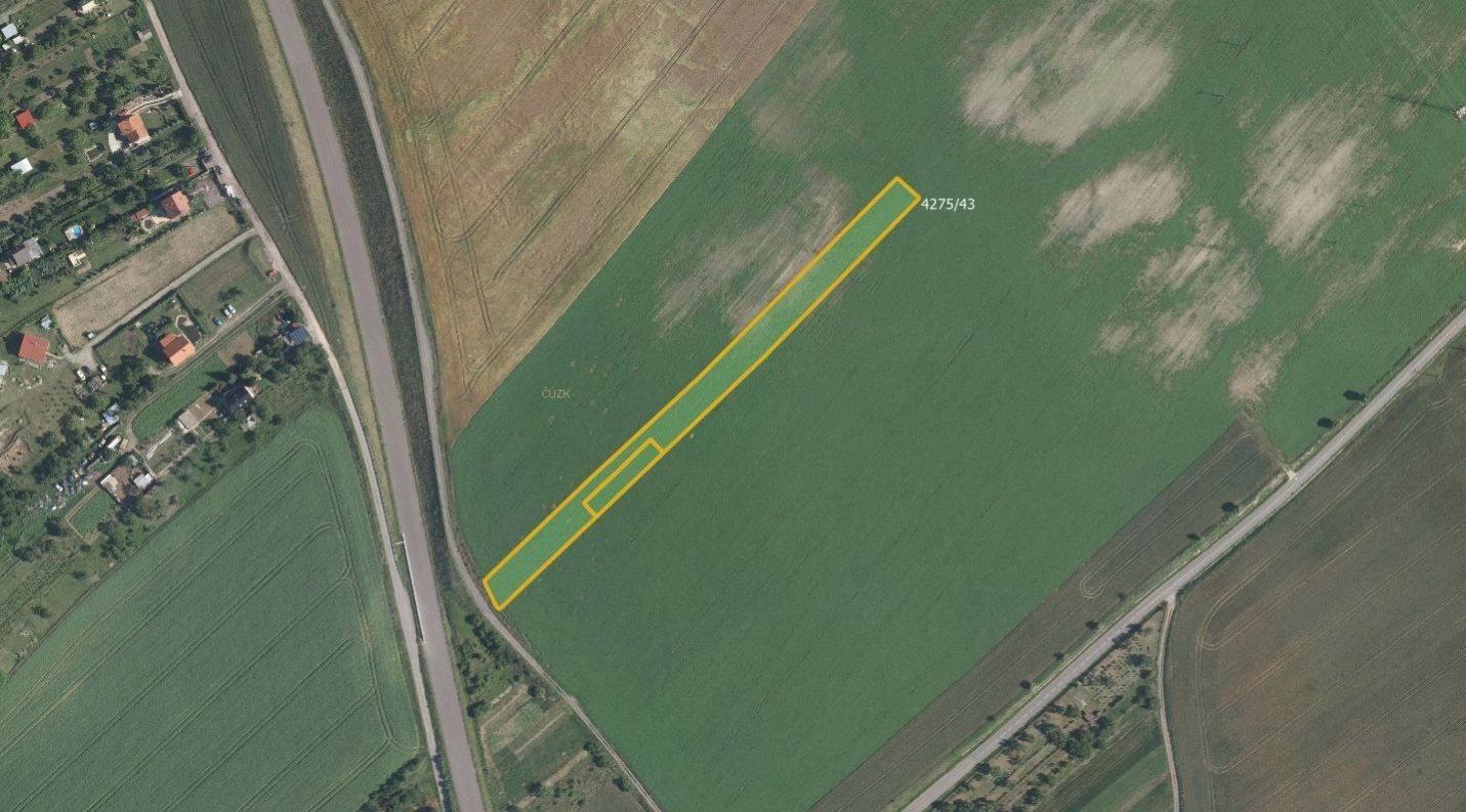 Zemědělské pozemky, Kuchařovice, 6 602 m²