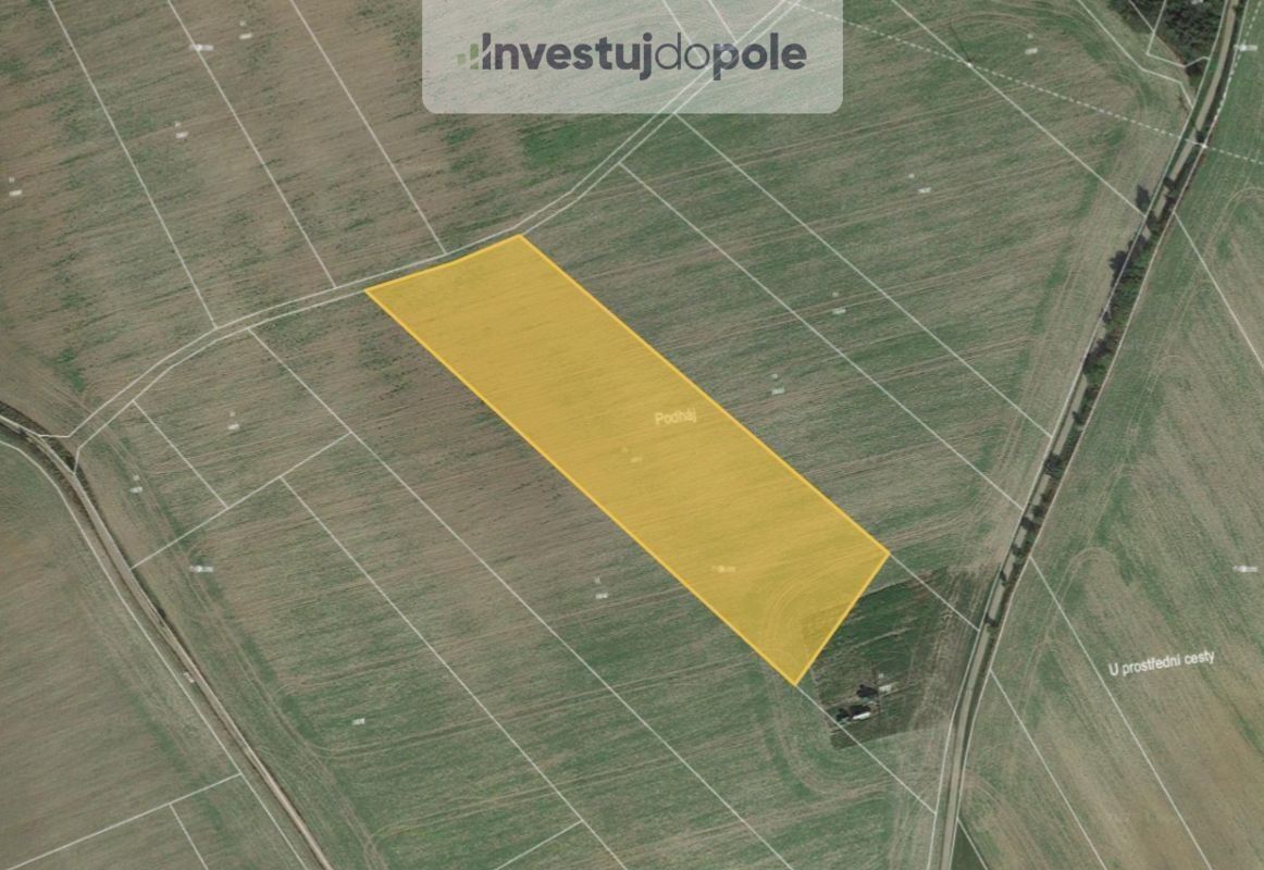 Louky, Kříše, Břasy, 11 559 m²