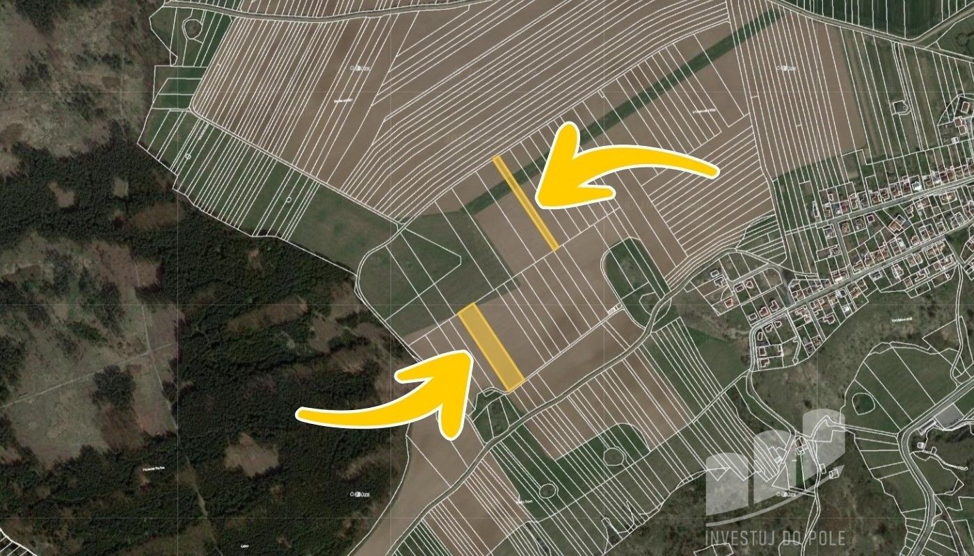 Prodej zemědělský pozemek - Ostrov u Macochy, 8 074 m²