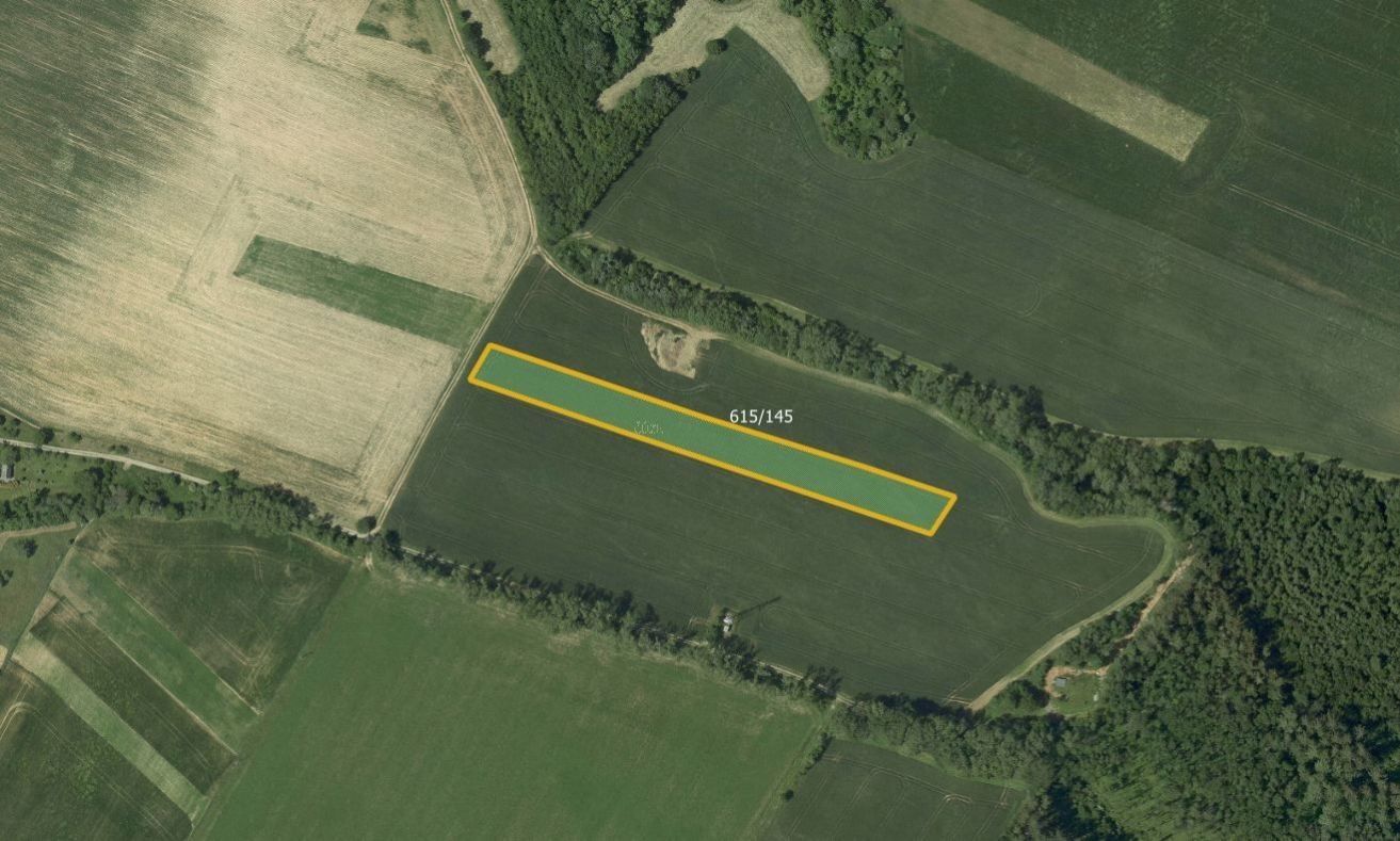 Zemědělské pozemky, Světlá, 6 000 m²