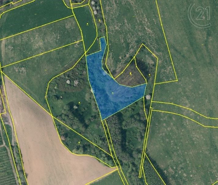 Zemědělské pozemky, Dolní Habartice, 9 928 m²