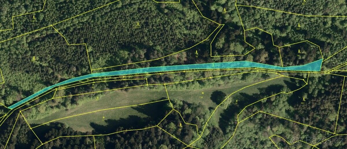 Lesy, Valašská Polanka, 756 11, 3 085 m²